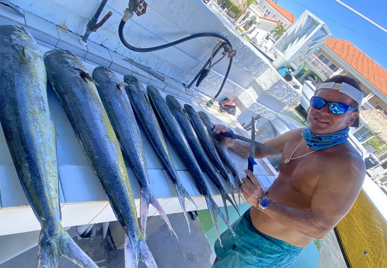 A line-up of mahi-mahi caught on a fishing charter at the dock